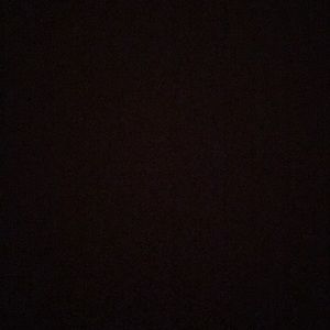 Meet your Posher, Dillon